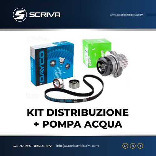 Kit cinghia distribuzione fiat - kit,